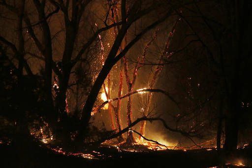 A tree burns as firefighters from across Kansas and Oklahoma battle a wildfire near Protection, Kan., Monday, March 6, 2017. (Bo Rader/The Wichita Eagle via AP)