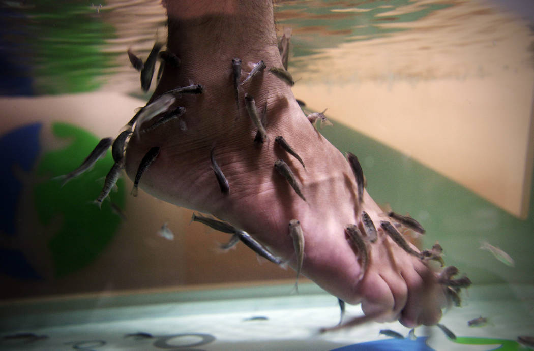 where to get a fish pedicure in las vegas