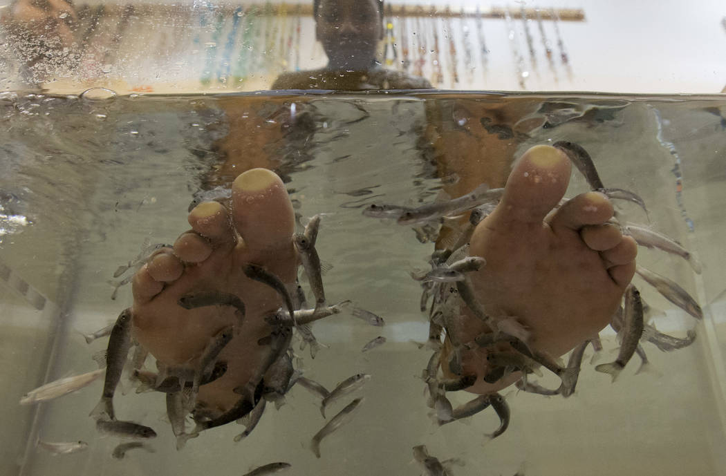 Where to get a fish pedicure in las vegas