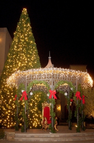 2021 National Christmas Tree Lighting
