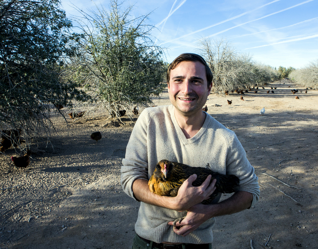 Brett Ottolenghi, left, owner of  Artisanal Foods, holds a chicken at the T&T Ranch in Amargosa Valley on Tuesday, Nov. 22, 2016. Ottolenghi is partnering with the ranch to raise organic free  ...
