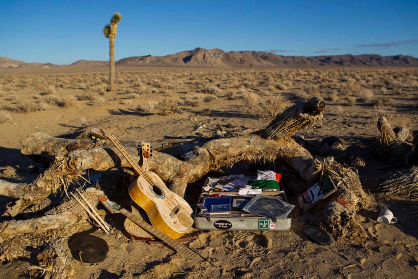 Fans still find what they’re looking for at Joshua tree made famous by U2 Las Vegas ReviewJournal