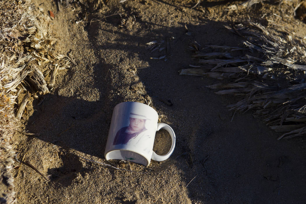 A mug left by fans of rock band U2 sits with the fallen tree that appeared in the band's 1987 album "The Joshua Tree" outside of Death Valley National Park along California State ...