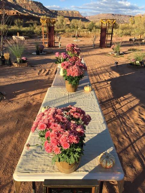 Flowers await guests at a garden party Brent Fitzpatrick held in November on his 56-acre property a few miles outside Zion National Park. Fitzpatrick plans to develop an art garden and tourists vi ...