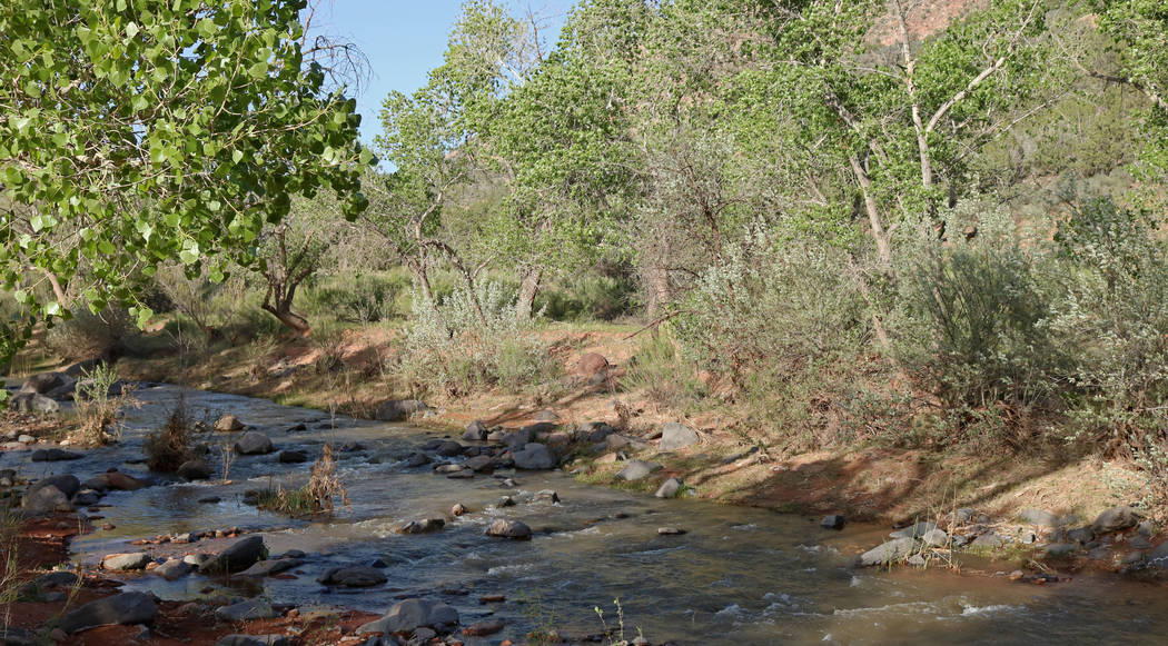 A creek that flows parallel to Brent Fitzpatrick's land west of Zion National Park, Thursday, April, 13, 2017. Gabriella Benavidez Las Vegas Review-Journal @gabbydeebee
