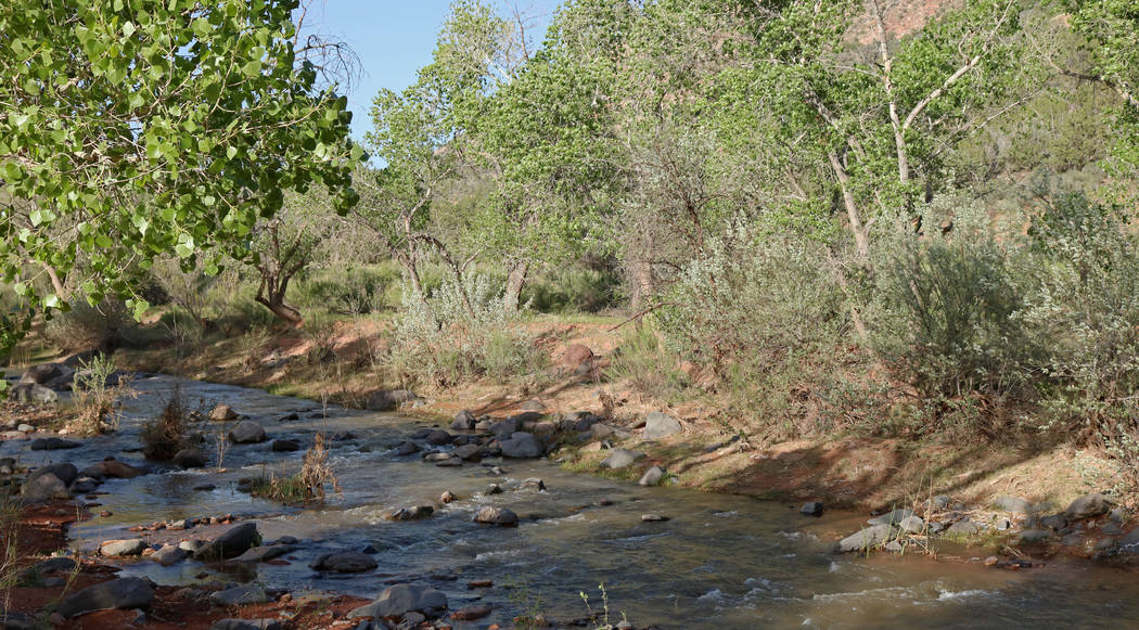 A creek that flows parallel to Brent Fitzpatrick's land west of Zion National Park, Thursday, April, 13, 2017. Gabriella Benavidez Las Vegas Review-Journal @gabbydeebee