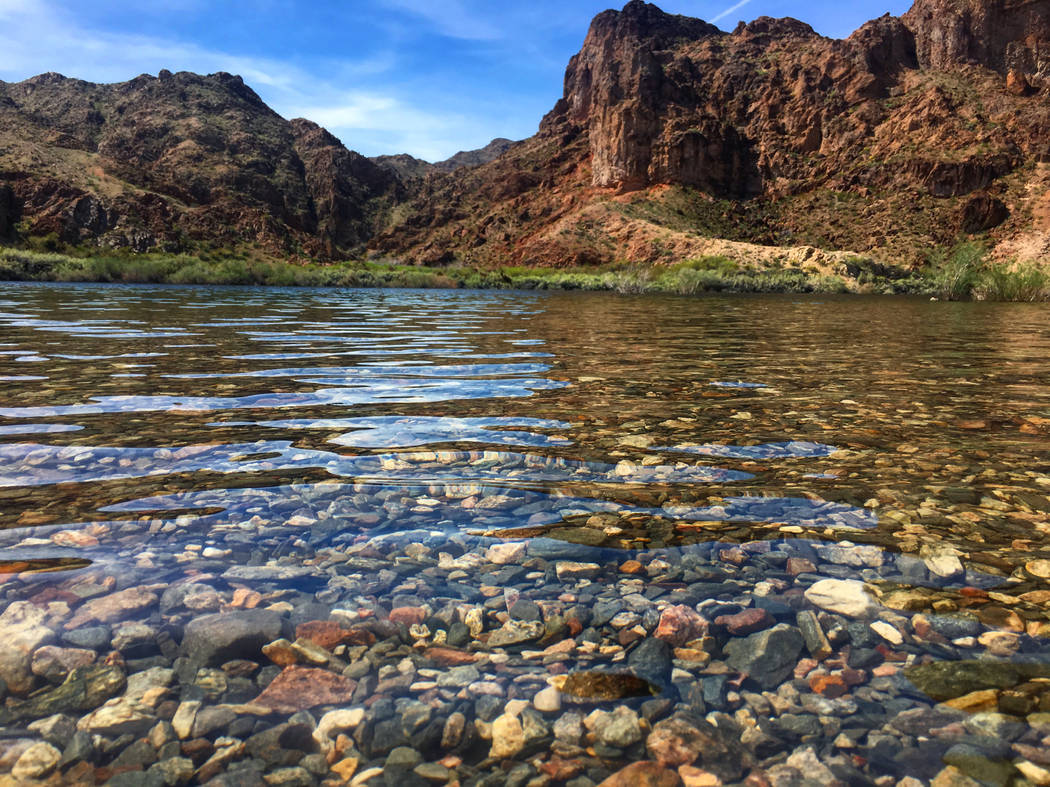The Colorado River near Willow Beach, Ariz. on Saturday, March 18, 2017. Janna Karel Las Vegas Review-Journal