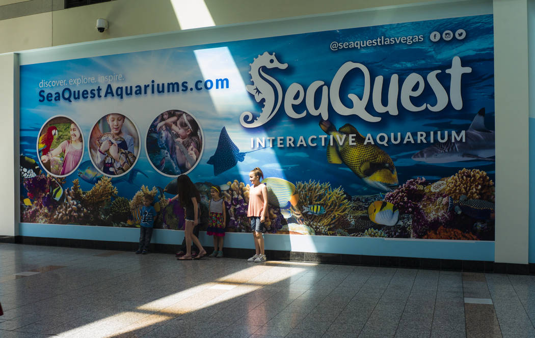 Outside of the SeaQuest Interactive Aquarium at the Boulevard Mall in Las Vegas on Friday, April 14, 2017. (Miranda Alam/Las Vegas Review-Journal) @miranda_alam