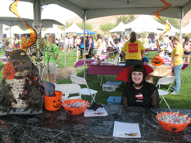 Learn some easy tricks to keep you pet safe on Halloween today from 10 a.m. to 3 p.m. at Exploration Park. (Courtesy)