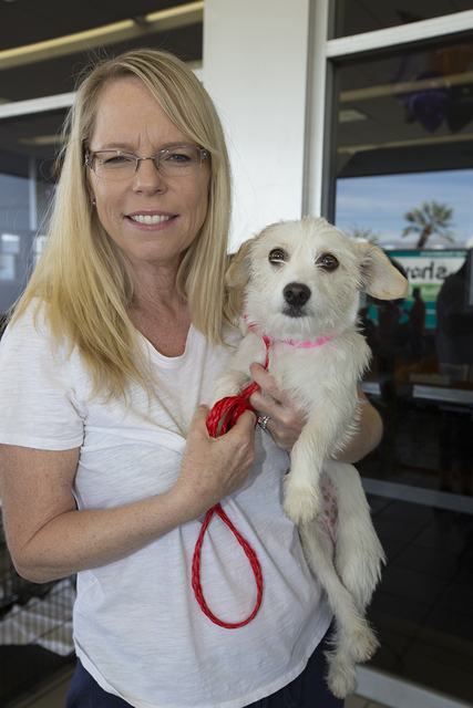 COURTESY
Sue Miller holds her female terrier mix named Snow adopted during Paws for the Cause Oct. 22 at Friendly Ford.
