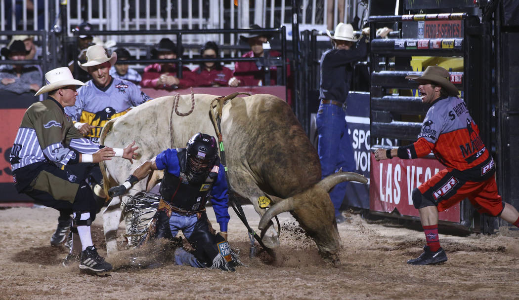 Cody Webster Professional Bullfighter