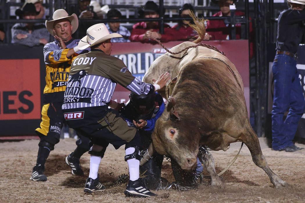 Master, pupil and ‘Shorty’ A day in the life of PBR bullfighters Las