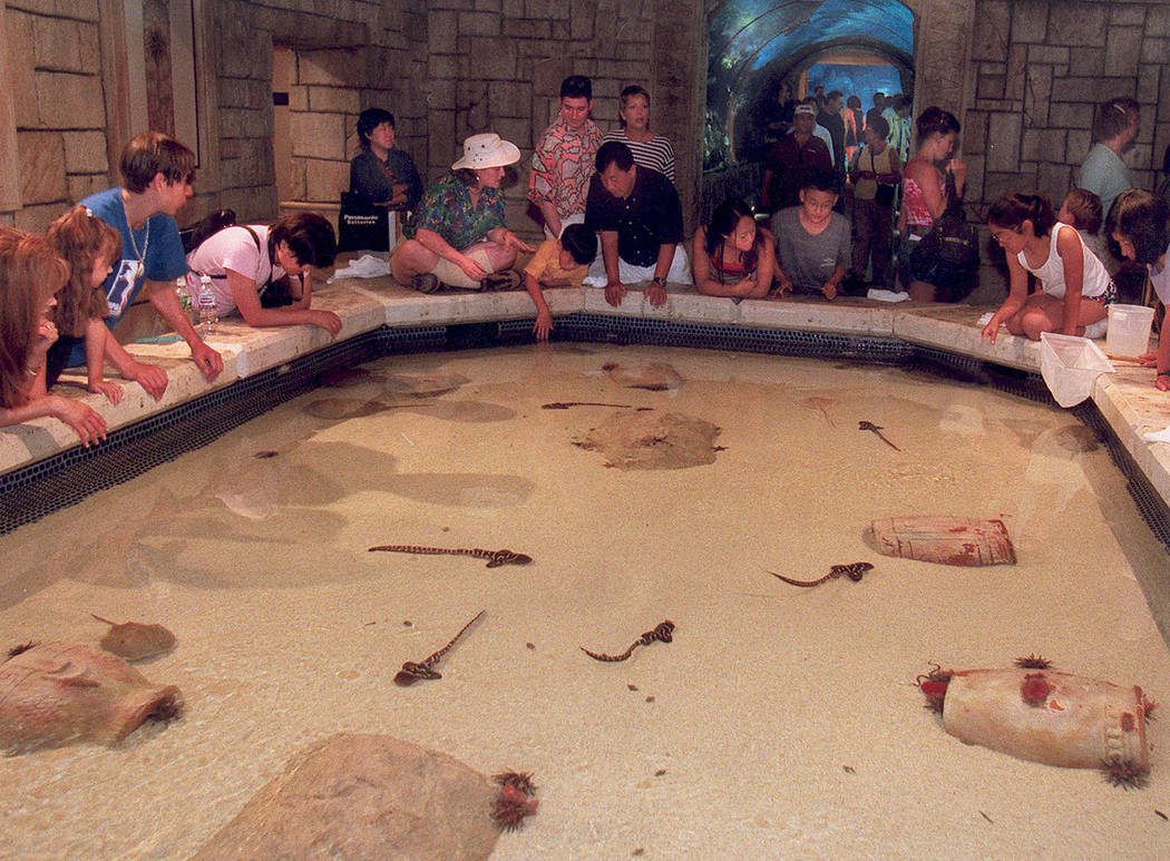 Main Tank at the Shark Reef Aquarium at Mandalay Bay