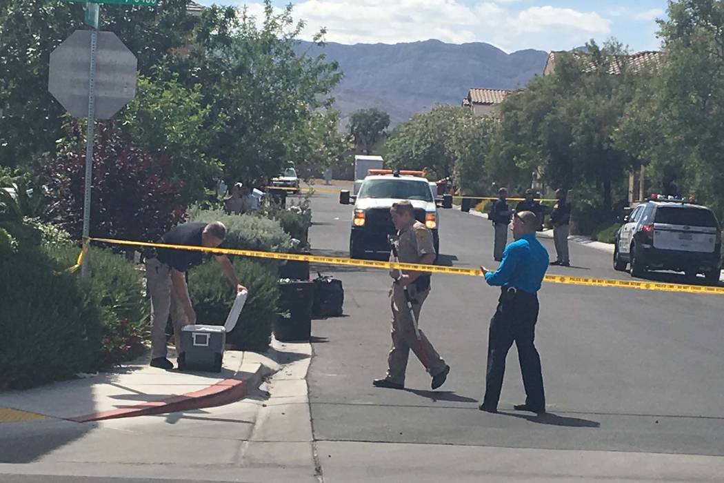 A 6-month-old child died after it was attacked by a dog in the 9100 block of Brilliant Prairie Court in northwest Las Vegas, Monday, May 8, 2017. (Bizuayehu Tesfaye/Las Vegas Review-Journal) @bizu ...