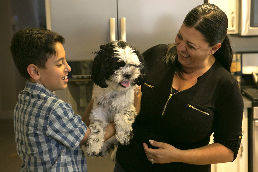 Mother Diana son Zareh Shamirza play with their dog Panda at their home on Thursday, May 11, 2017, in Las Vegas. Bridget Bennett Las Vegas Review-Journal @bridgetkbennett