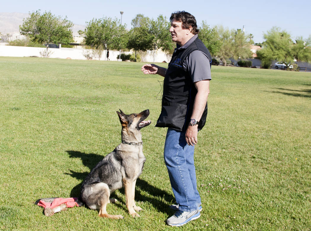 Dog trainer David Rivisto demonstrates how he trains his dog, Arletta, at Wayne Bunker Park on May 12, 2017, in Las Vegas. Bizuayehu Tesfaye Las Vegas Review-Journal @bizutesfaye