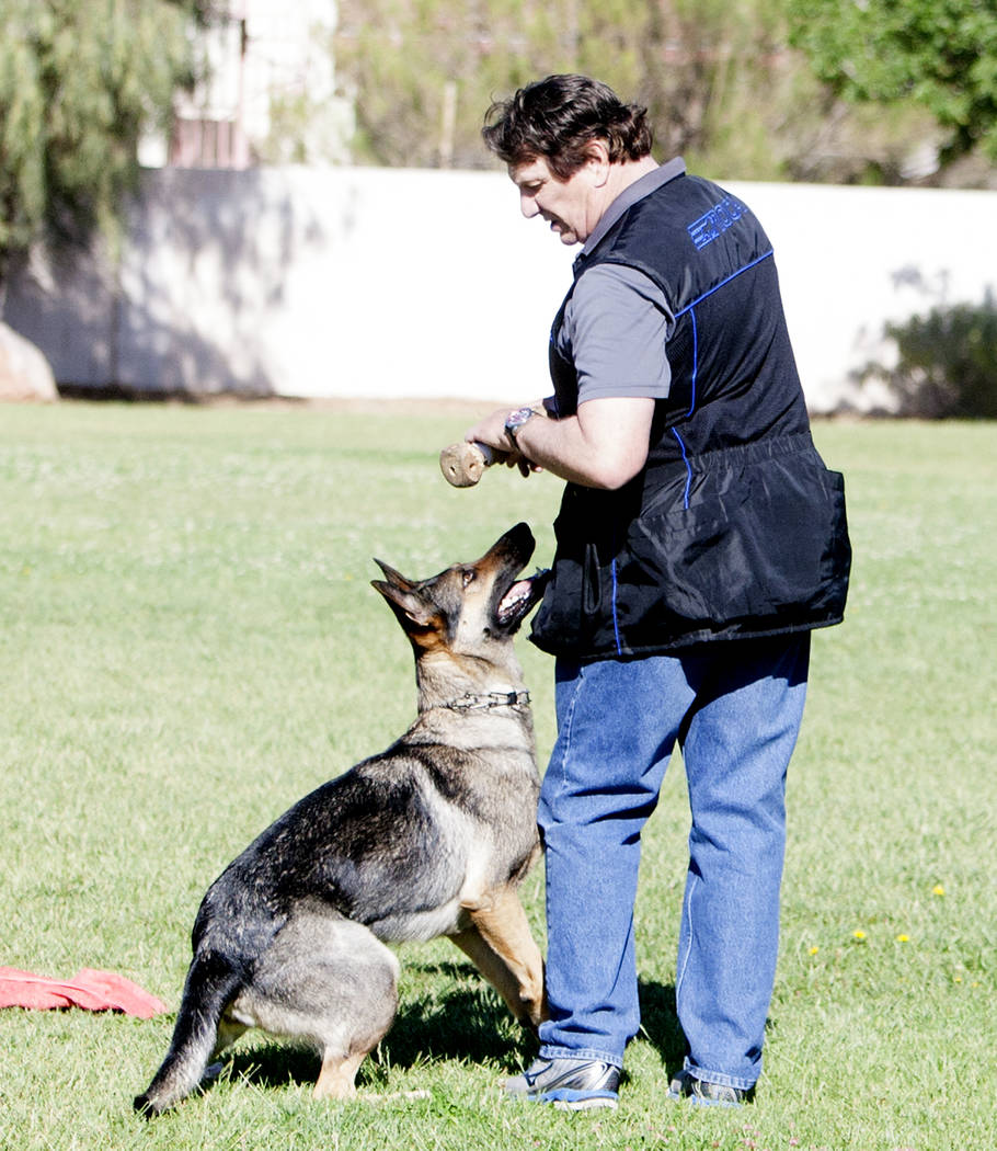 Dog trainer David Rivisto demonstrates how he trains his dog, Arletta, at Wayne Bunker Park on May 12, 2017, in Las Vegas. Bizuayehu Tesfaye Las Vegas Review-Journal @bizutesfaye