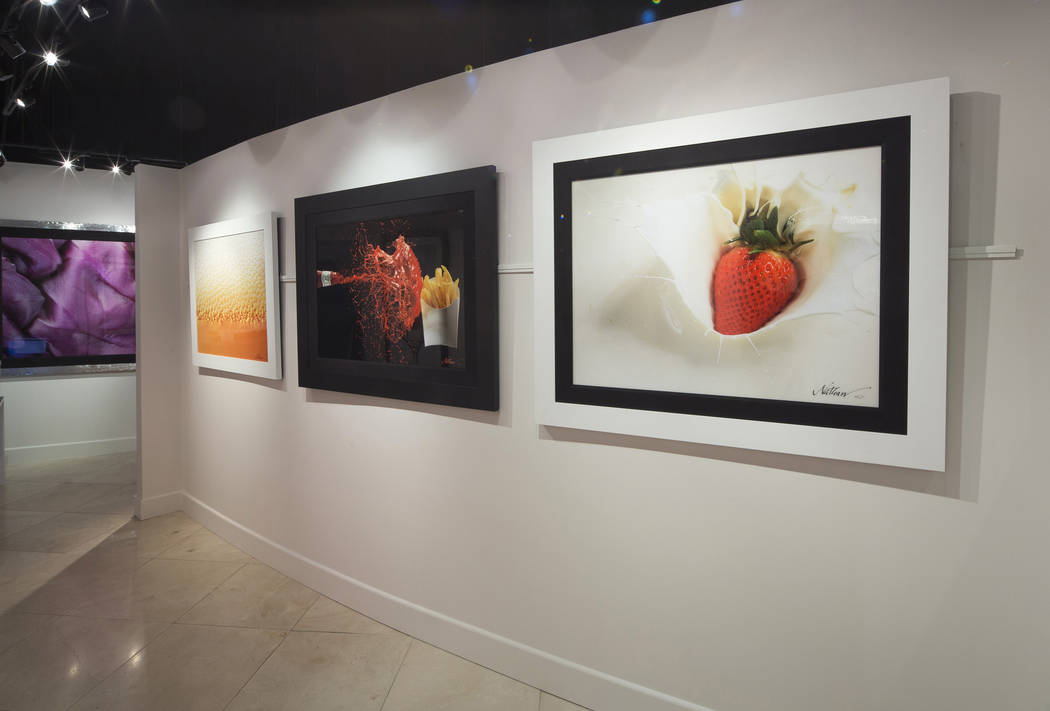 Modernist Cuisine Gallery