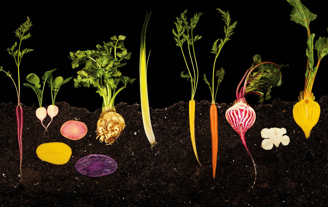 Ryan Matthew Smith Modernist Cuisine, LLC