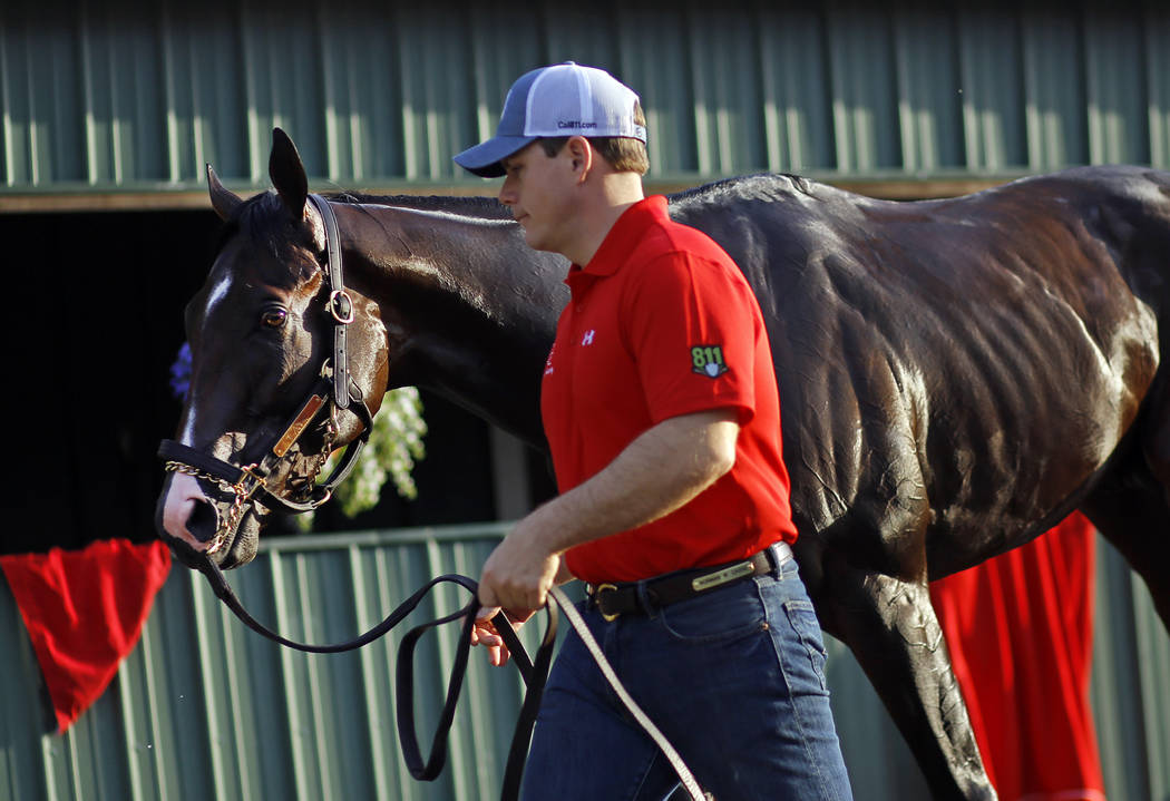 Assistant trainer Norman Casse leads Preakness contender Classic Empire to his barn after a workout at Pimlico Race Course in Baltimore, Thursday, May 18, 2017. The Preakness Stakes horse race is ...