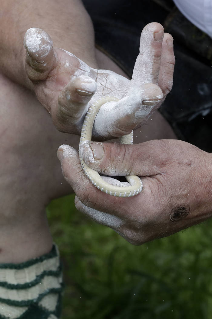 A competitor stretches his fingers as he prepares for a bout at the 40th Alpine Country Championships in Fingerhakeln in Woernsmuehl, Germany, Thursday, May 25, 2017. Competitors battled for the t ...