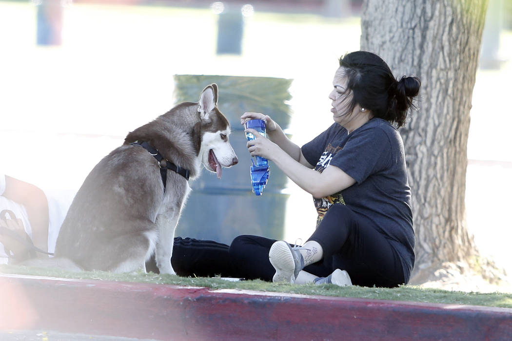 Mary Soriano uses water spray bottle to cool down her dog, Rex, from the heat at Sunset Park on Friday, May 26, 2017, in Las Vegas. Bizuayehu Tesfaye Las Vegas Review-Journal @bizutesfaye