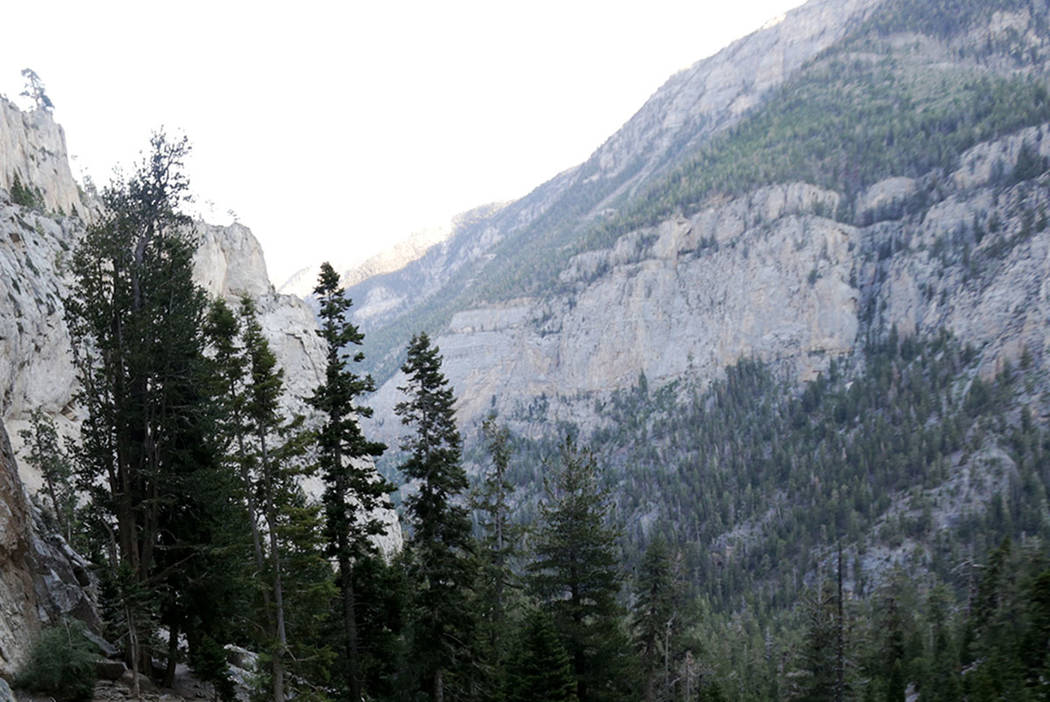 View from Mary Jane Falls trail on Mount Charleston (Las Vegas Review-Journal)