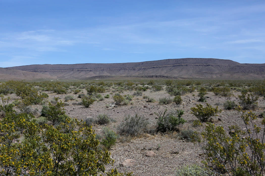 Scientists prepare to debate danger of Yucca Mountain’s volcanic neighbors Science and