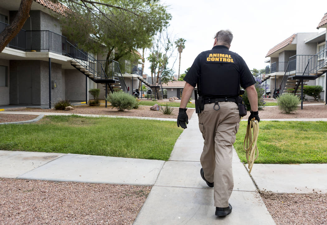 Animal control officer Mike Felton goes to collect an abandoned dog in an apartment complex in Las Vegas, Wednesday,  May 31, 2017. Elizabeth Brumley/Las Vegas Review-Journal