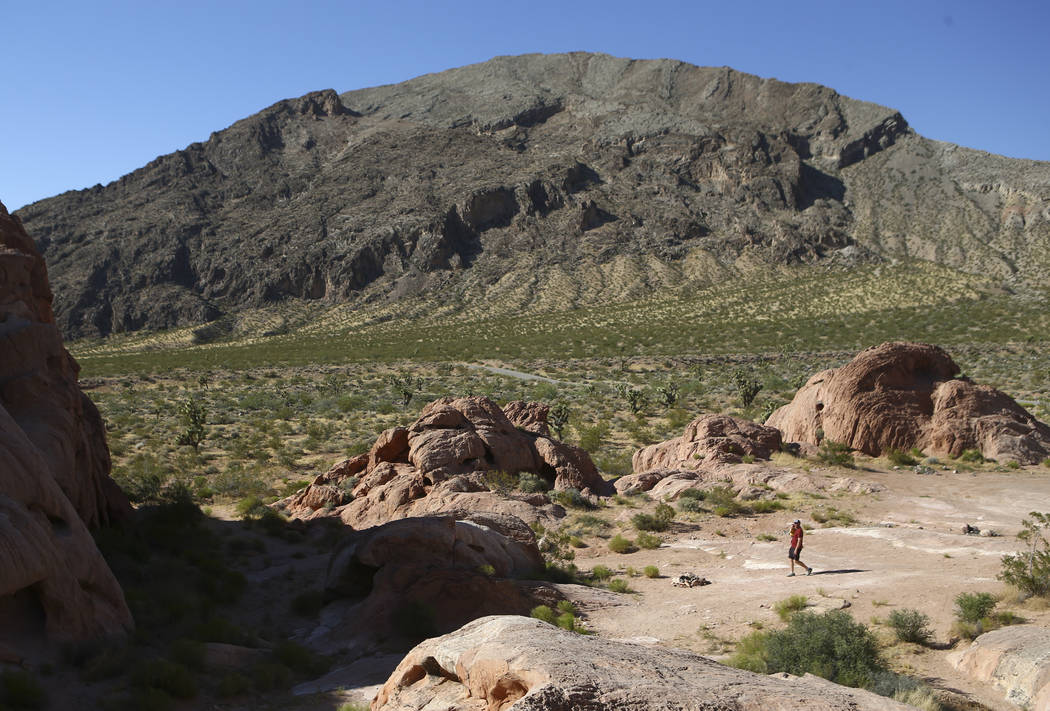 David Richards walks with his 9-month-old son Phoenix in the Whitney Pockets area of the Gold Butte National Monument south of Bunkerville on Friday, June 2, 2017. Chase Stevens Las Vegas Review-J ...