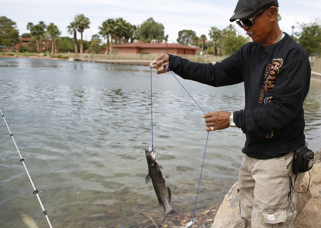 Free fishing day events planned Saturday in Southern Nevada Local