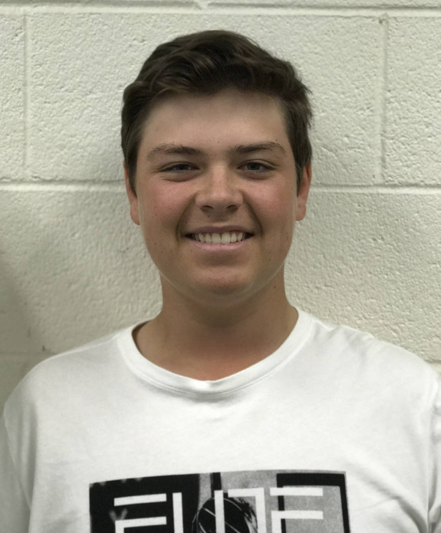 Dylan Fritz, Coronado: The sophomore was the medalist at the Class 4A Sunrise Region tournament and led the Cougars to their fourth straight title. Fritz finished tied for third at the 4A state to ...