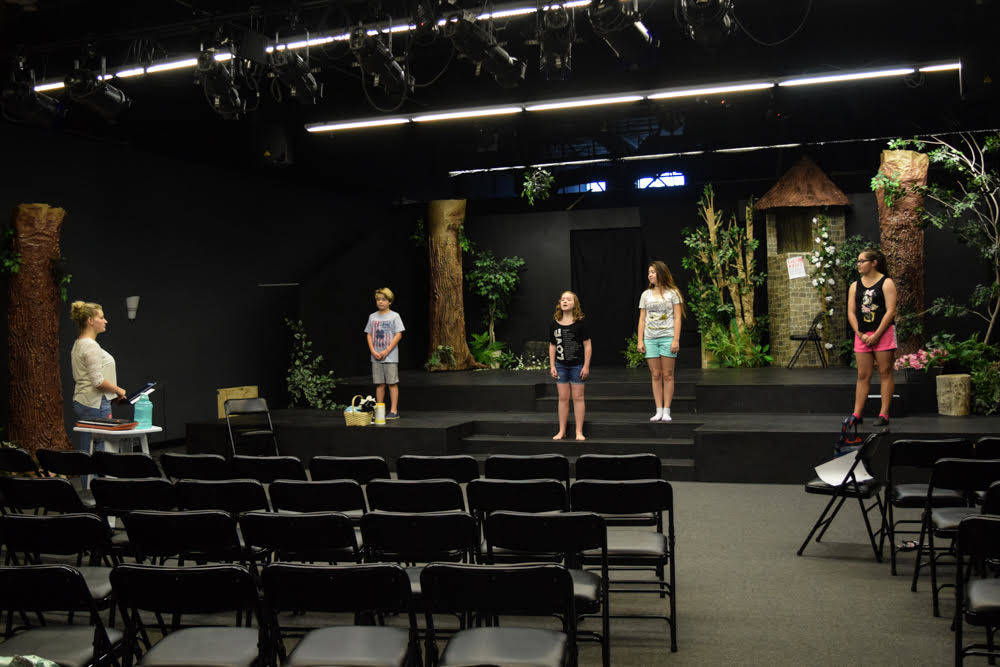 Seedling is currently offering summer workshops to students interested in acting or vocal performance as well as private lessons. (Alex Meyer/View) @alxmey