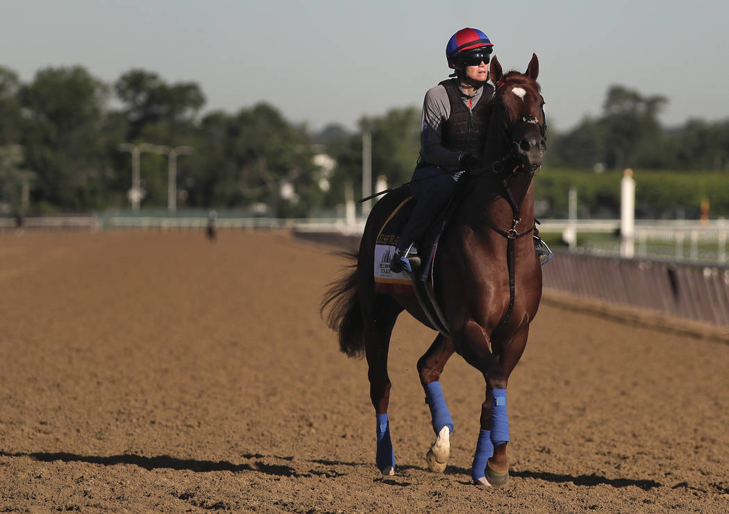 Belmont Stakes hopeful Irish War Cry jogs around the track during a workout at Belmont Park, Thursday, June 8, 2017, in Elmont, N.Y. Irish War Cry will be one of 12 horses competing in the 149th r ...