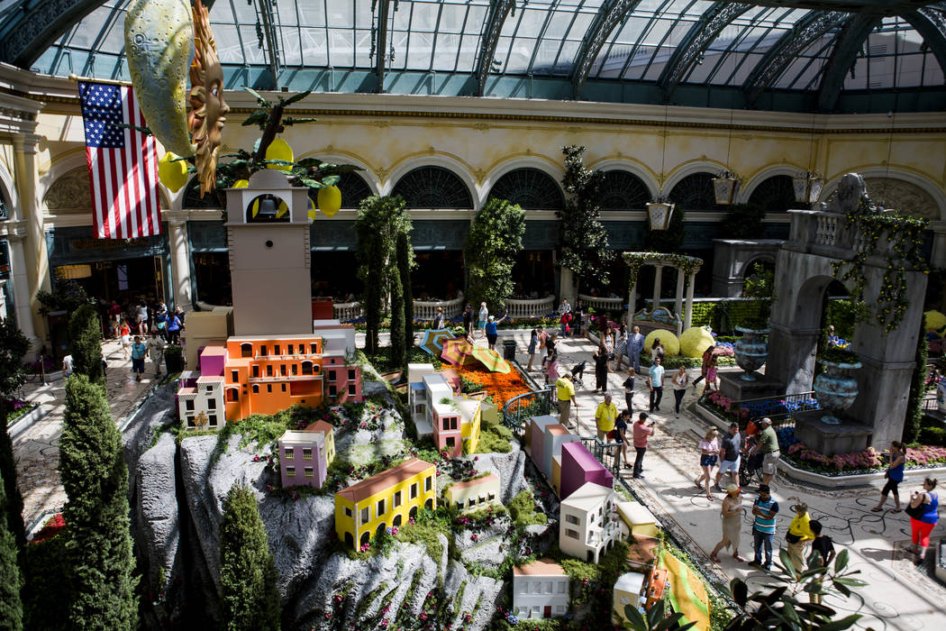 The opening of the new Italian-inspired display at Bellagio's Conservatory & Botanical Gardens on Monday, June 12, 2017.  Patrick Connolly Las Vegas Review-Journal @PConnPie