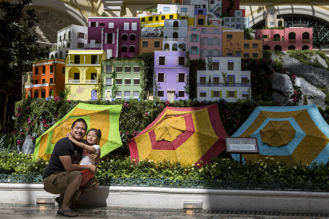 Kenny Nguyen and his daughter Serena, 4, of Garden Grove, Calif. take a photo together during the opening of the new Italian-inspired display at Bellagio's Conservatory & Botanical Gardens on  ...