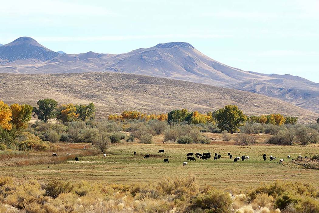 The Walker River State Recreation Area will add more than 12,000 acres to Nevada’s state parks with land donated from the Walker Basin Restoration Program. The planned recreation area is i ...