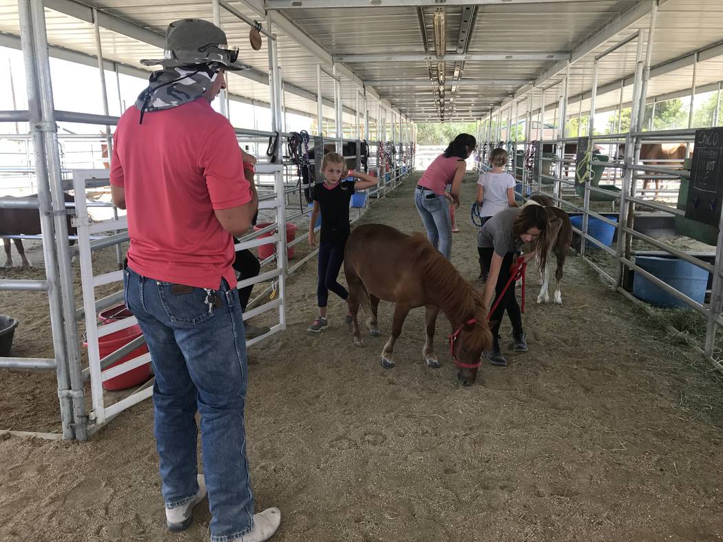 Jeremy Tiderman instructs students while they practice walking a small horse during the Horses4Heroes' summer camp at the community equestrian center at Floyd Lamb Park at Tule Springs on June 27. ...