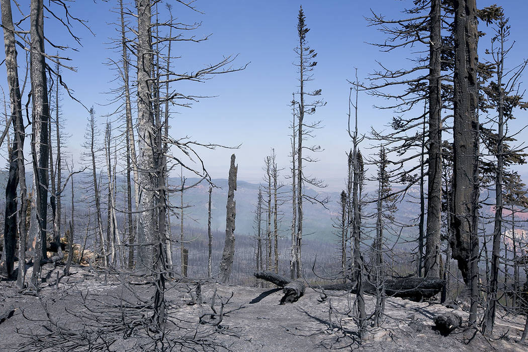 Burned landscape is seen from a point east of where the fire started at Brian Head, Utah, in Dixie National Forest a few miles off State Route 143 on Tuesday, June 27, 2017. Bridget Bennett Las Ve ...