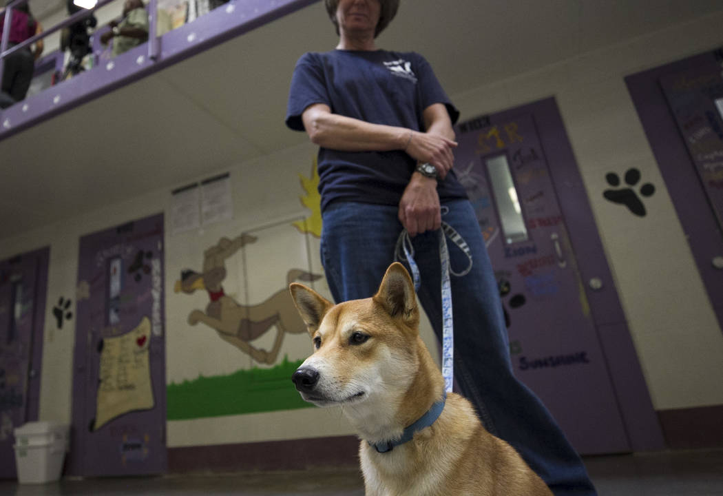 Inmates Practice Training Companionship With Pups On Parole