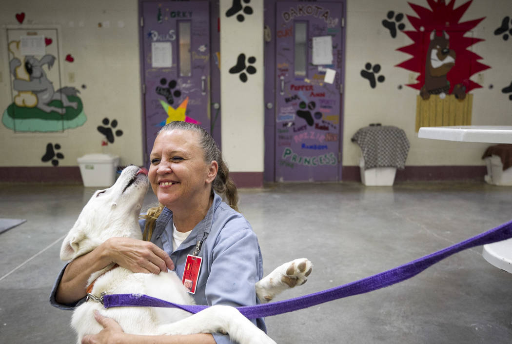 Inmate Christine Corona gets a lick from Stormy, a Siberian husky, inside the Pups on Parole cell block at the Florence McClure Women's Correctional Center in Las Vegas on Tuesday, July 11, 2017.  ...
