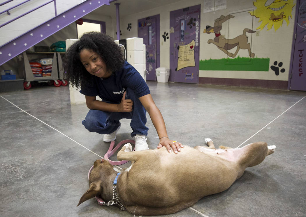 Hazel, an Australian cattle dog, gets a belly rub from inmate Pattae Robinson inside the Pups on Parole cell block at the Florence McClure Women's Correctional Center in Las Vegas on Tuesday, July ...