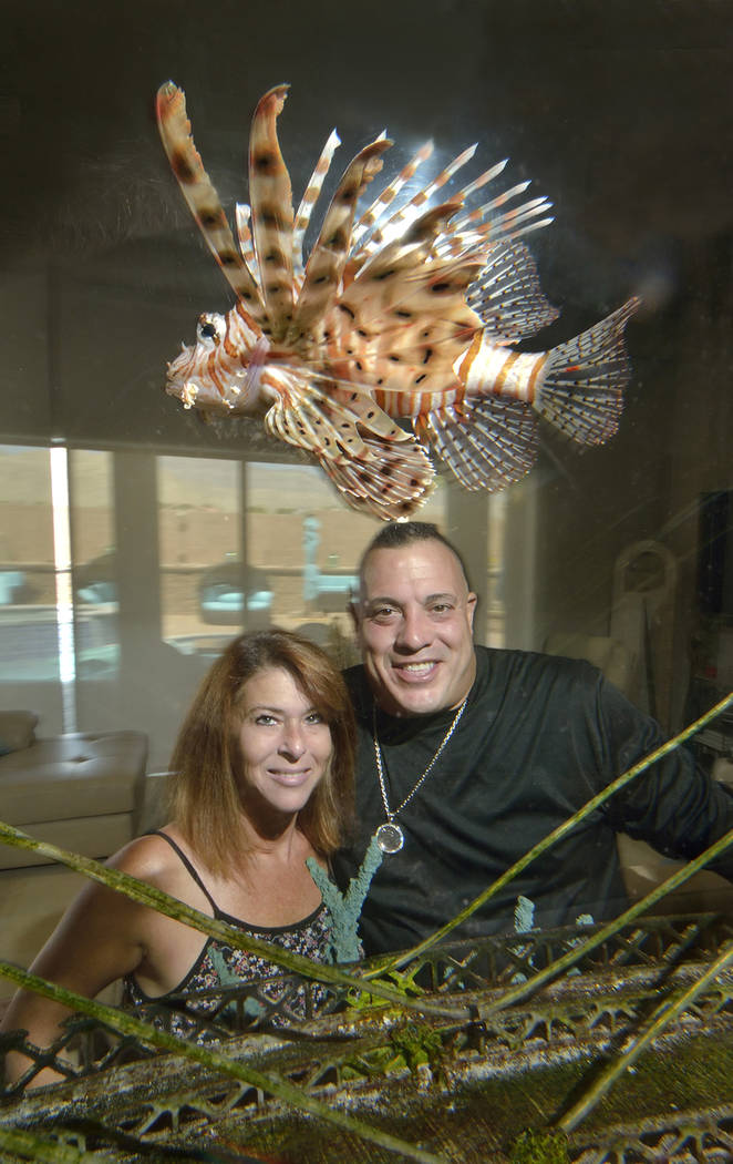 Wayde King, star of “Tanked” on Animal Planet, and his wife, Heather, look at a lionfish swim by in their home aquarium. (Bill Hughes/Real Estate Millions)