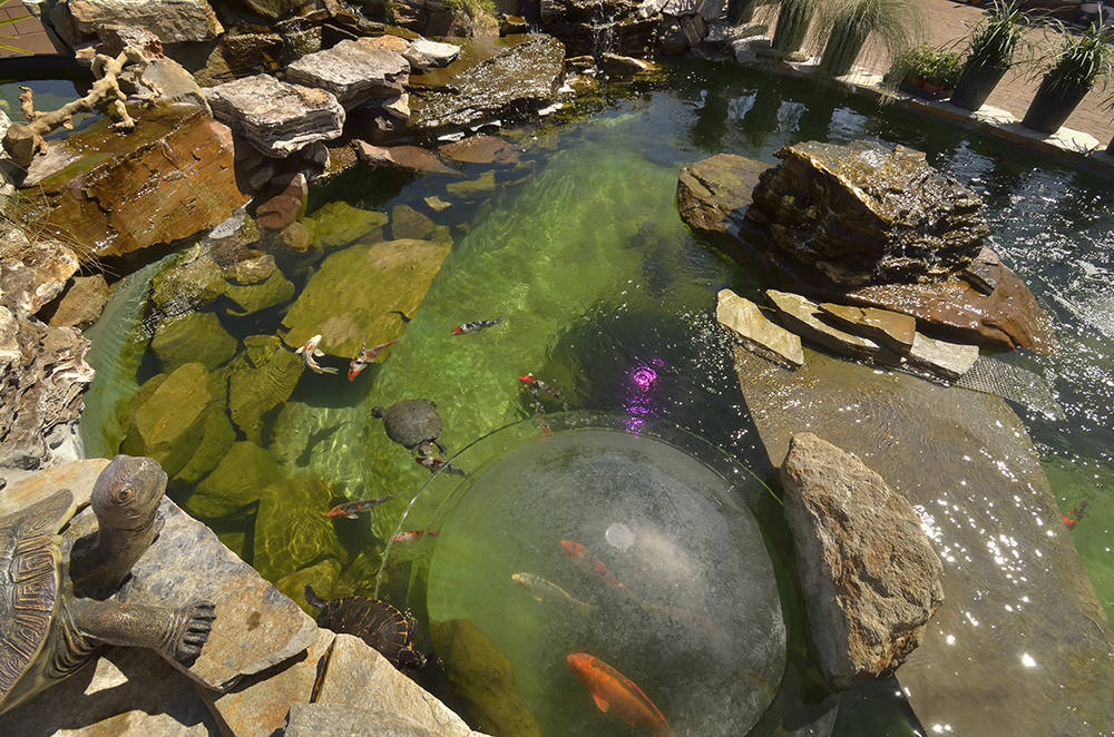 A backyard pond is shown at the home of Wayde King, star of “Tanked” on Animal Planet. (Bill Hughes Real Estate Millions)