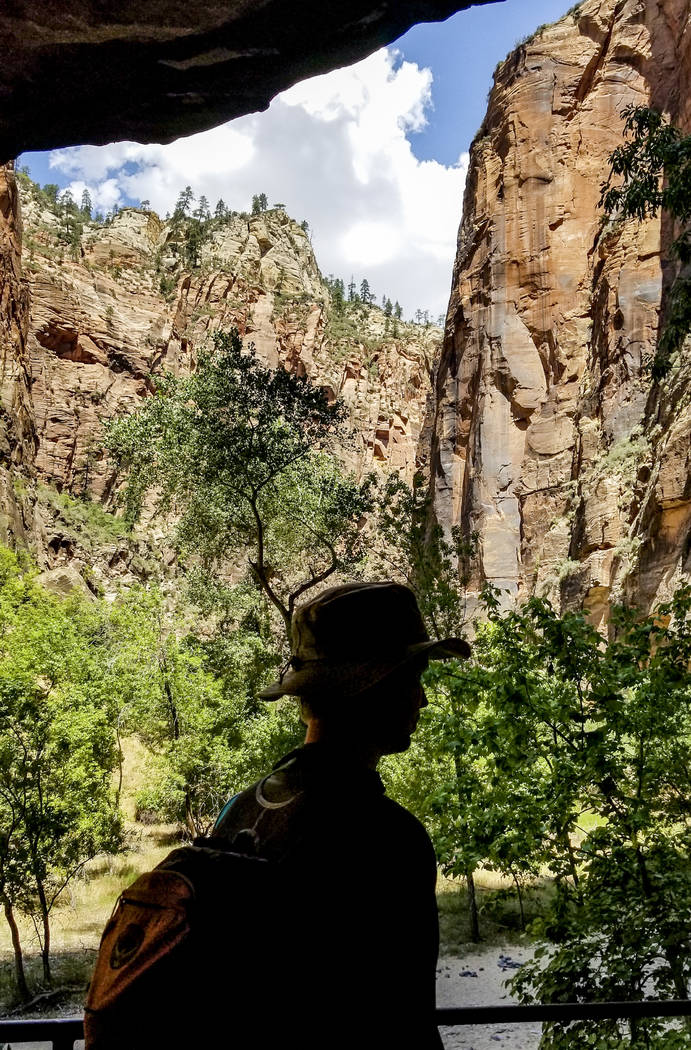 Zion National Park considers reservation system for entry Travel Life