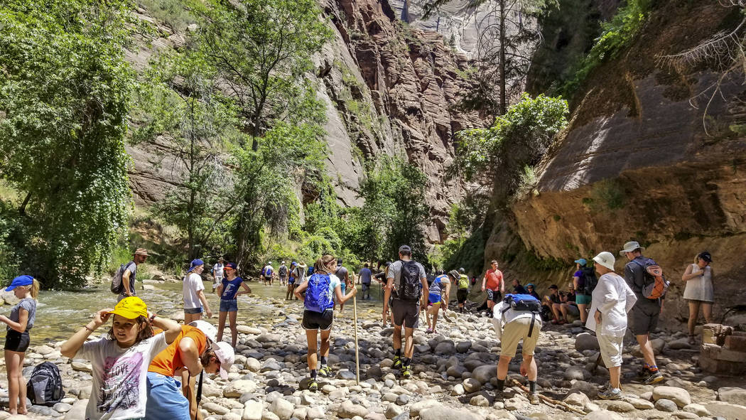 Zion National Park visitors congregate near the Virgin River to hike The Narrows at Zion National Park in Utah on Friday, July 14, 2017. (Patrick Connolly/Las Vegas Review-Journal) @PConnPie