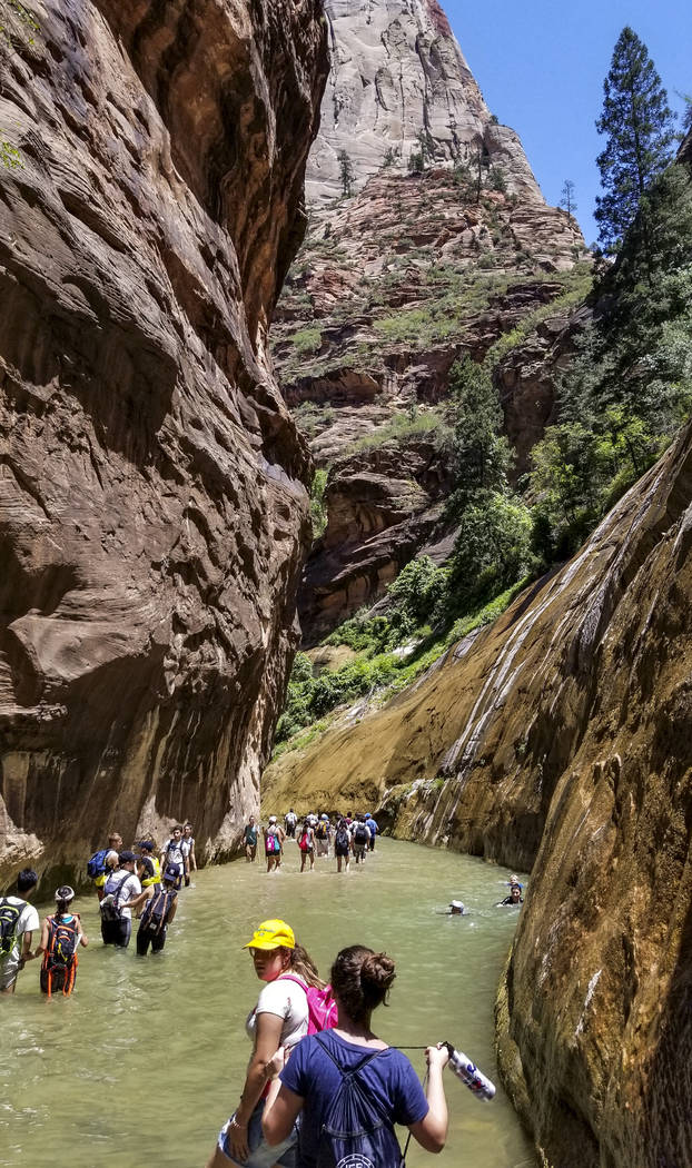 Zion National Park visitors walk along The Narrows, a river hike through the Virgin River, at Zion National Park in Utah on Friday, July 14, 2017. (Patrick Connolly/Las Vegas Review-Journal) @PConnPie