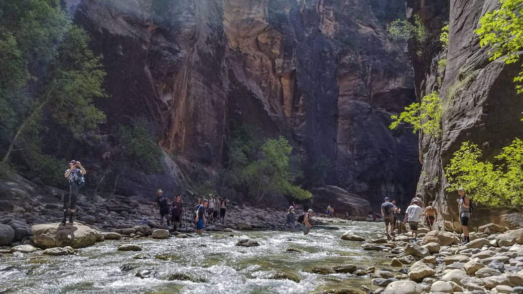 Zion National Park visitors walk along The Narrows, a river hike through the Virgin River, at Zion National Park in Utah on Friday, July 14, 2017. Patrick Connolly Las Vegas Review-Journal @PConnPie