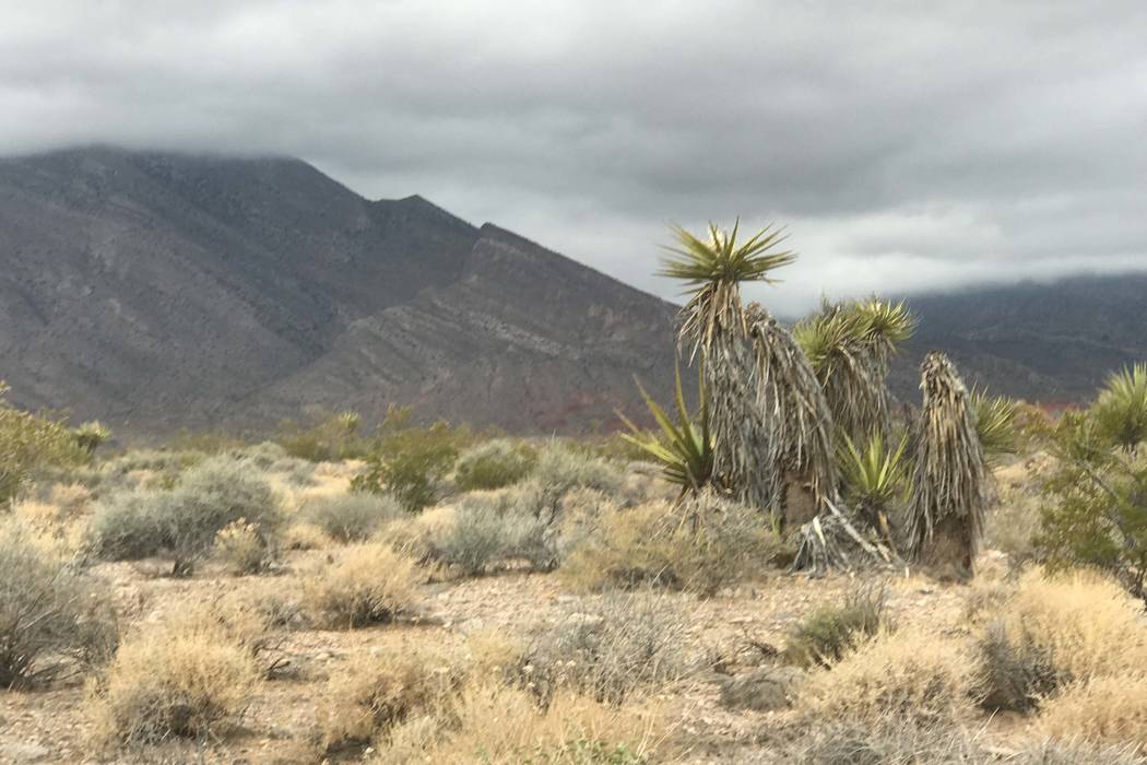 Rain clouds roll over Little Red Rocks on the Las Vegas Valley's west side, Tuesday, July 25, 2017. (Keith Rogers/Las Vegas Review-Journal)