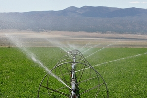 Alfalfa is watered in White Pine County's Spring Valley, where the Southern Nevada Water Authority plans to one day pump groundwater for use in Las Vegas. A federal court hearing in Las Vegas Mond ...